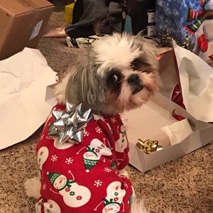 Meet your Posher, Gail